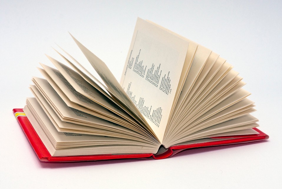 Spanish dictionary pages up into the air