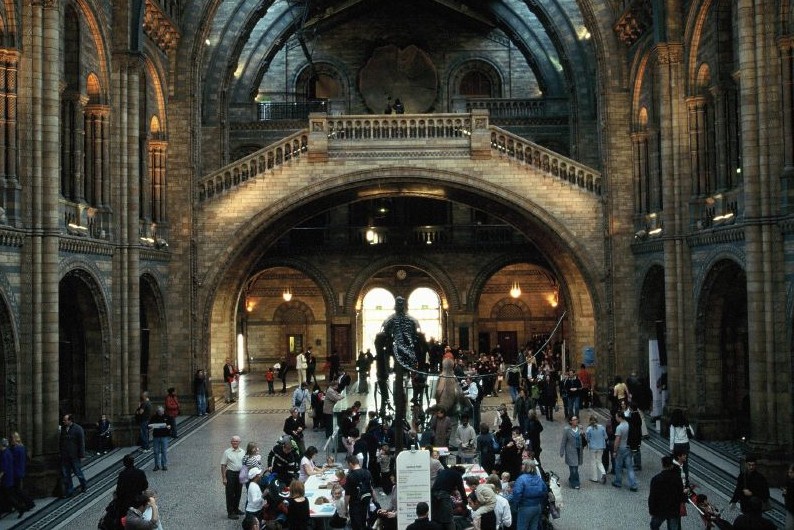 NHM Lobby