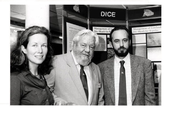 DICE launch