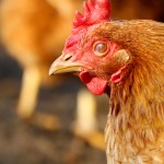 Popular story thumbnail