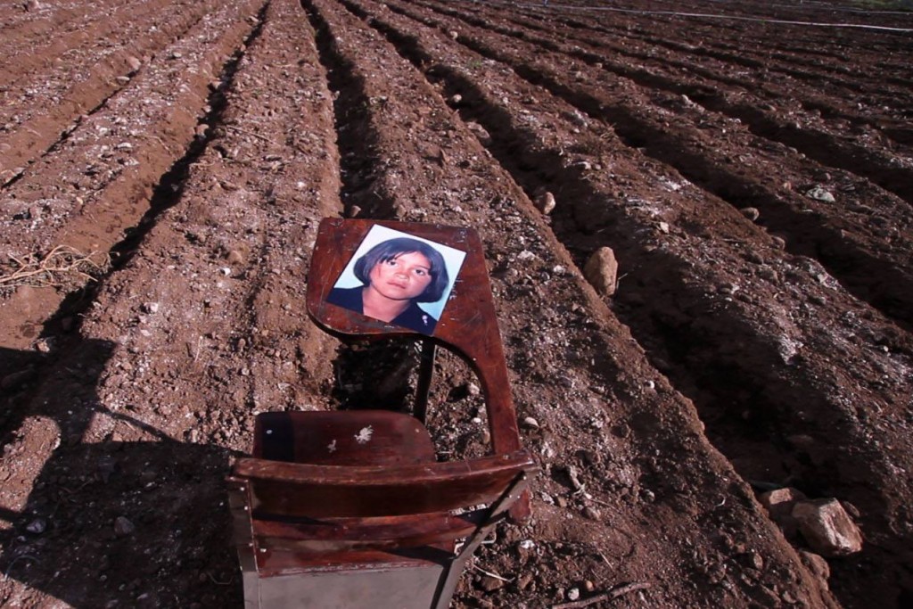 Image from The Silence of the Flies