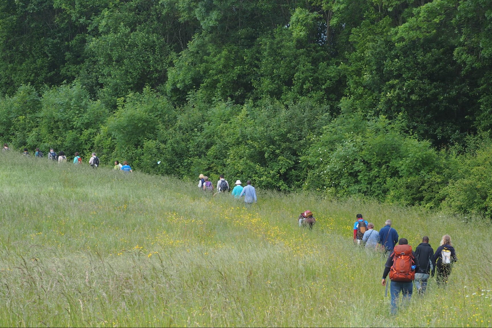 A line of walkers in the countryside