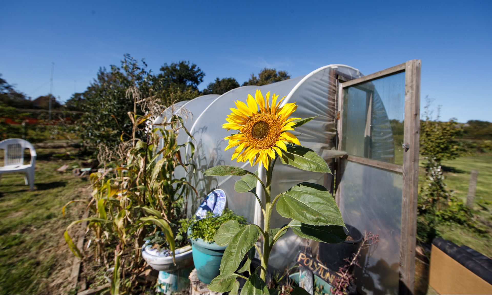 Kent Community Oasis Garden Opens News Centre University Of Kent