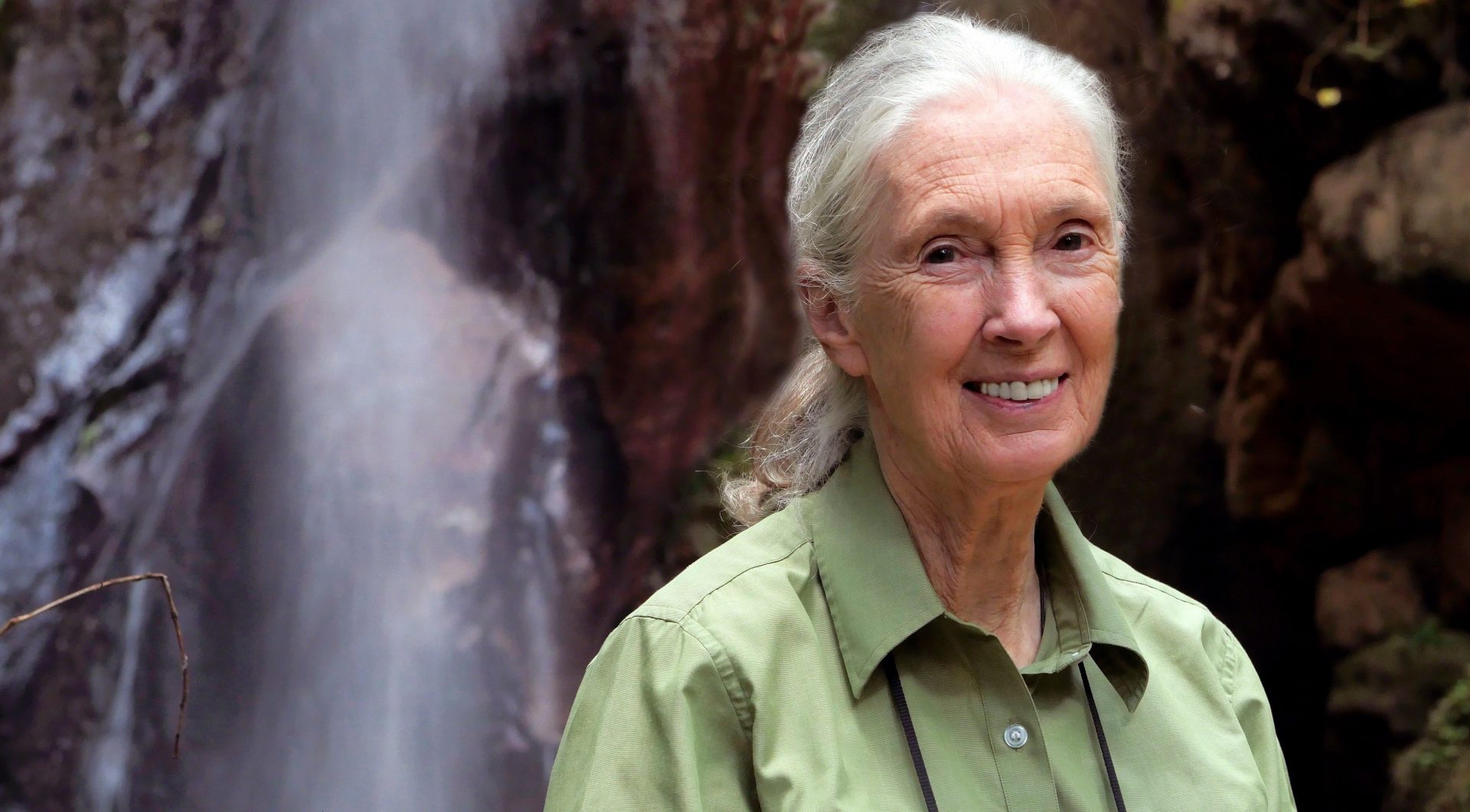 Conservationist Dr Jane Goodall to give public lecture at Kent News
