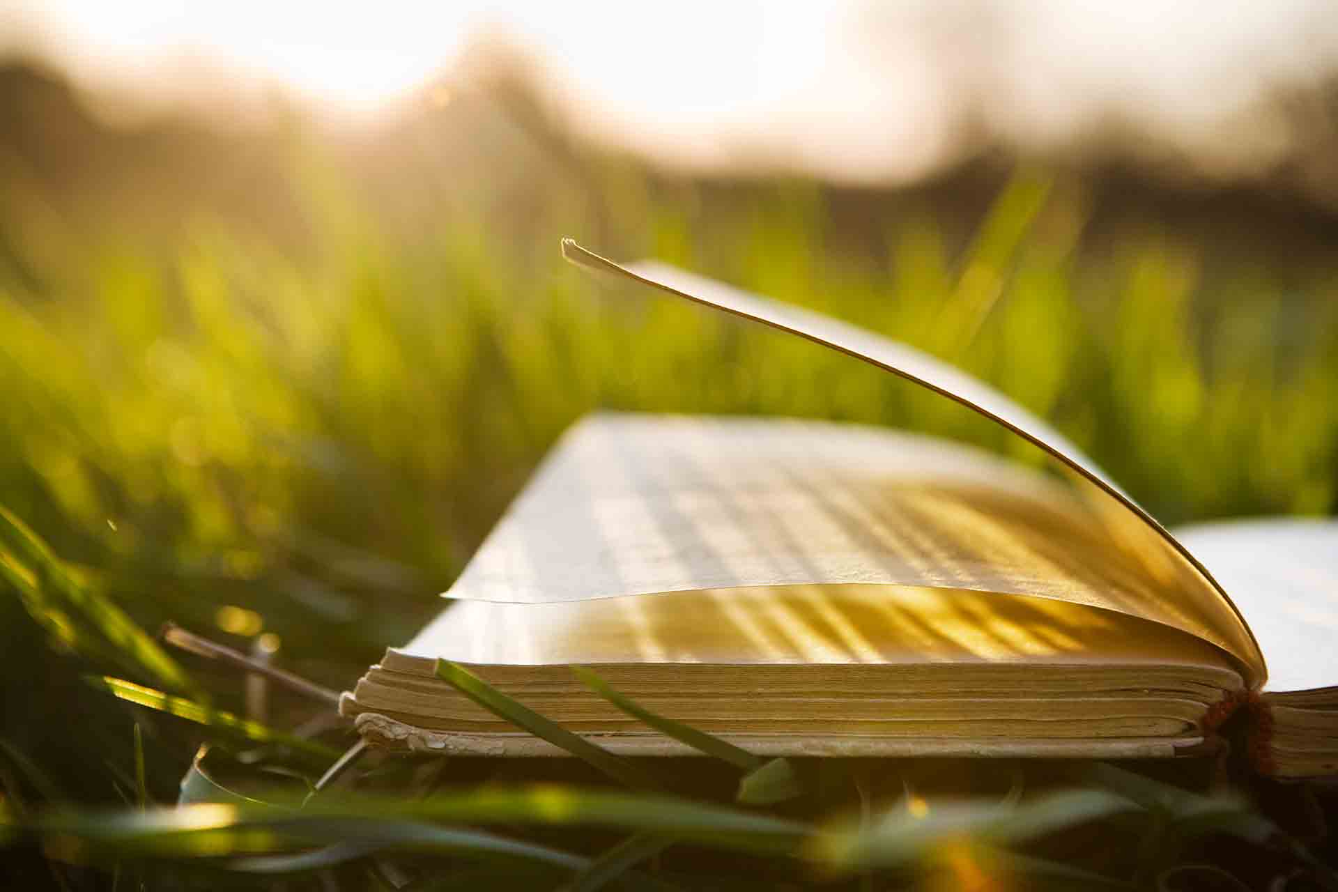 Image representing English and American Literature and Religious Studies