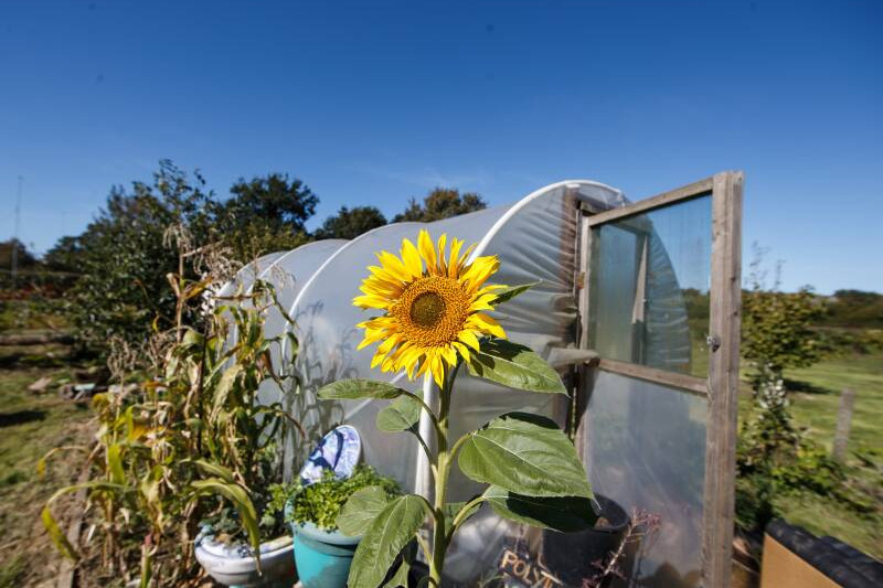 Volunteer With Kent Community Oasis Garden What s On University Of Kent